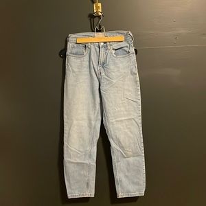 Everlane High Rise Straight Jean